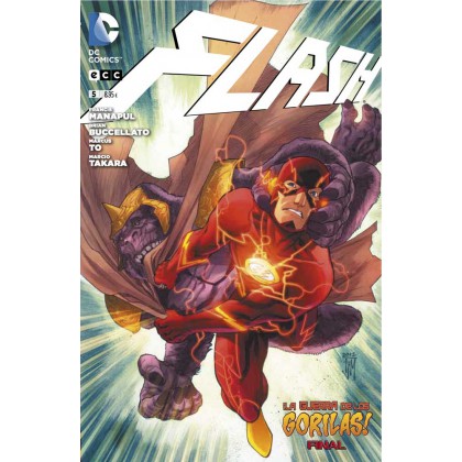 Flash 05
